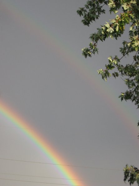 20060930-rainbow05