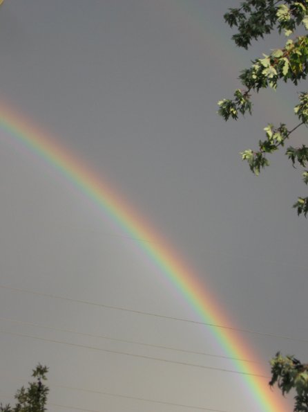 20060930-rainbow06