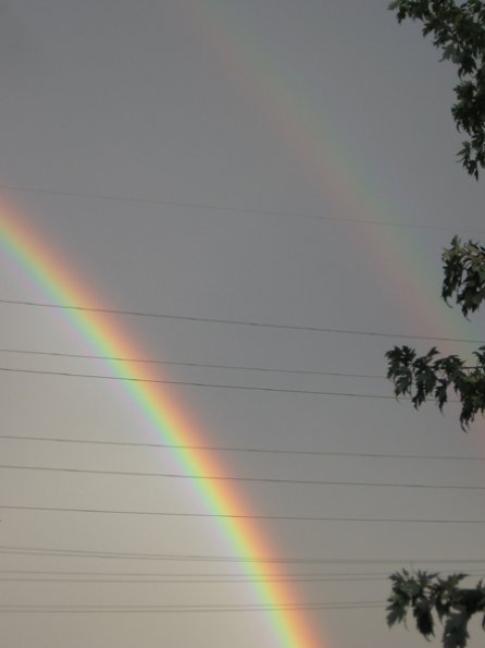 20060930-rainbow07